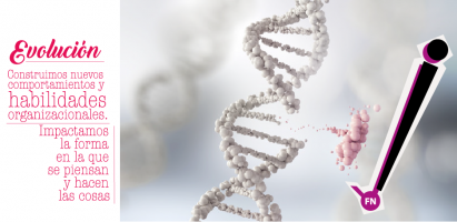 gallery/attachments-Image-evolucion4_1